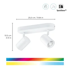 WiZ opbouwspot Imageo wit gekleurd licht 2xGU10 5W