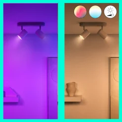 WiZ opbouwspot Imageo wit gekleurd licht 2xGU10 5W