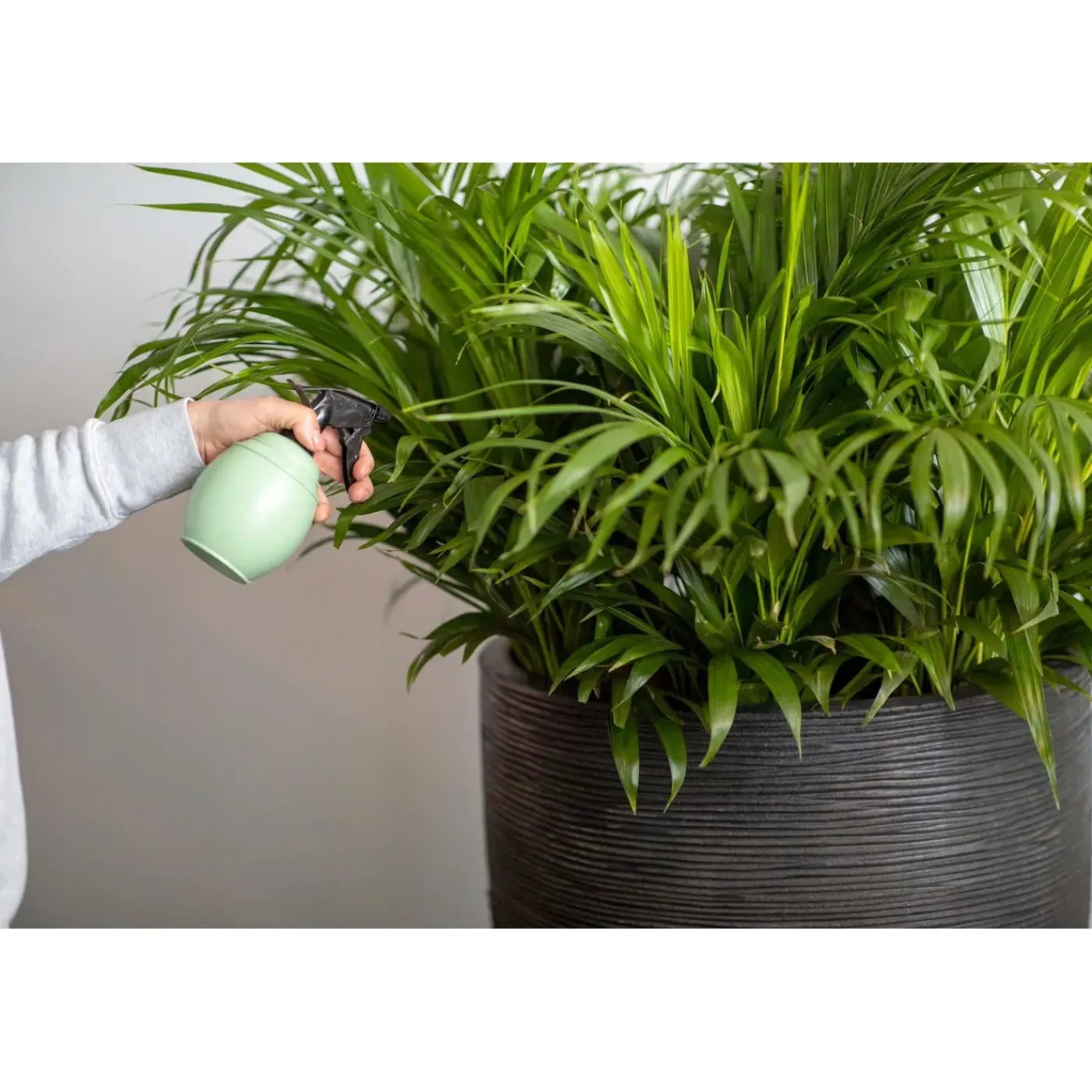 Xala - Plantenspuit Chai 0,5l - Lichtgrijs