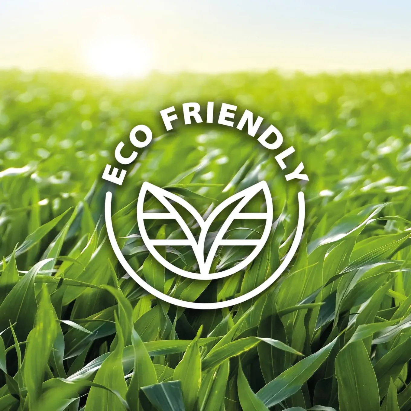 Xaralyn Bio-ethanol Cl100 (12 X 1 Liter) - 100% Puur Bio Ethanol - Gele Vlam - Geen Toegevoegde Geur