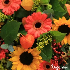 Organifer Zonnebloem Zadenpakket - 10 Soorten -