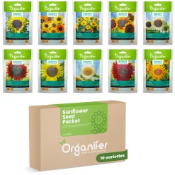 Organifer Zonnebloem Zadenpakket - 10 Soorten -