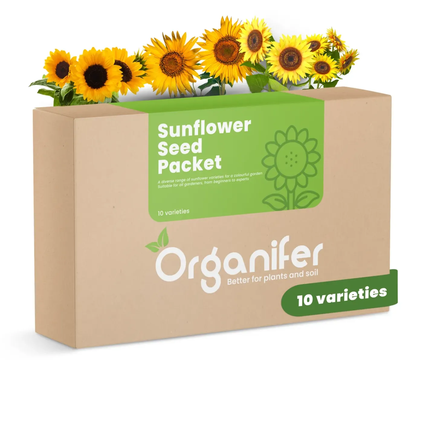 Organifer Zonnebloem Zadenpakket - 10 Soorten -